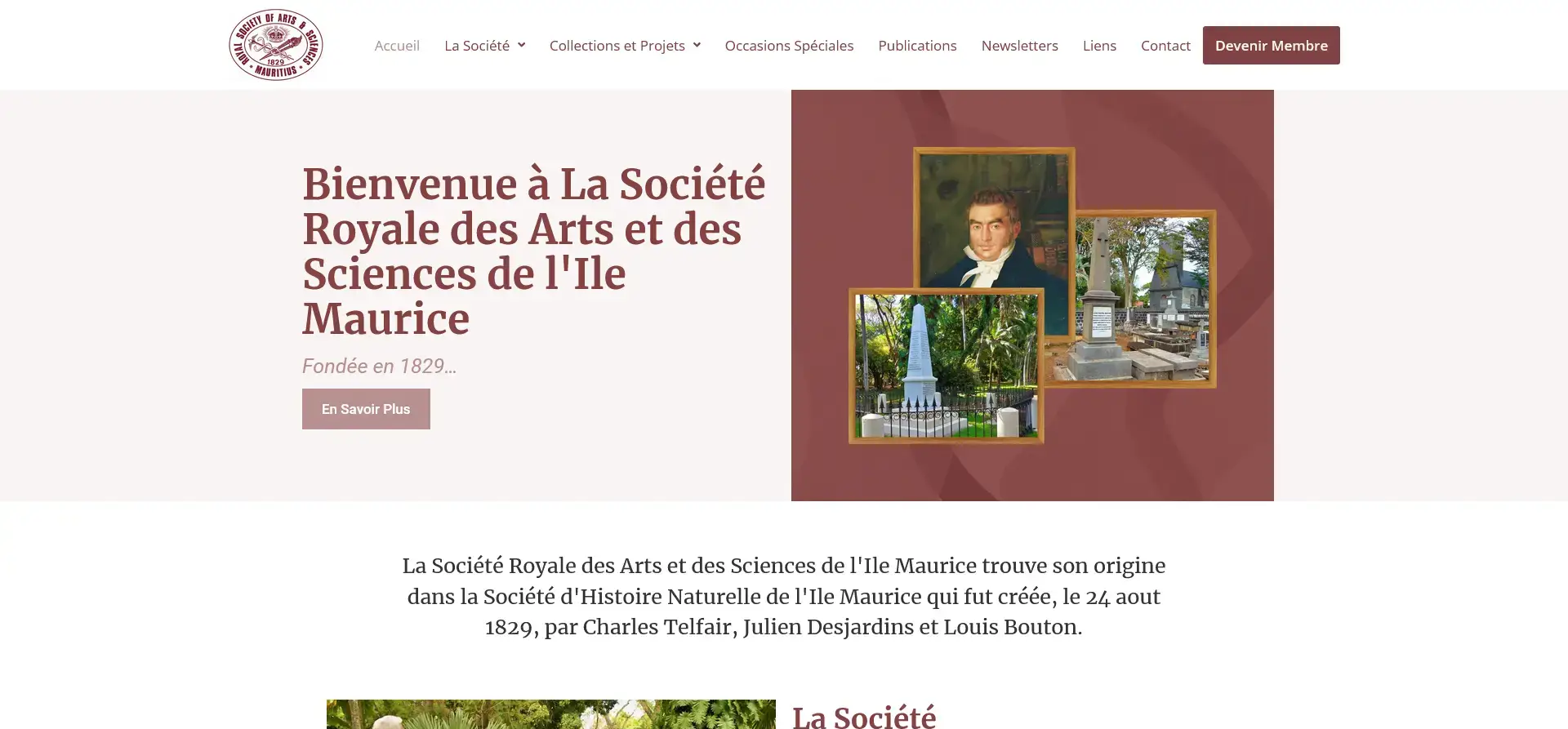 RSAS Mauritius website